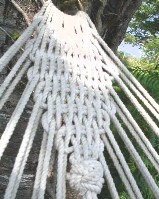 Detail Netted Hammock