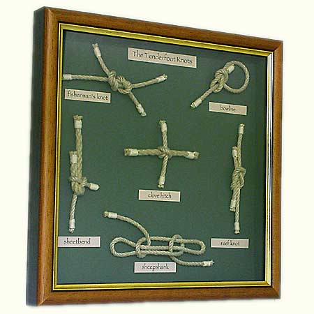 Tenderfoot knot board