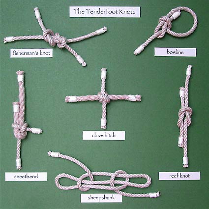 Tenderfoot knot board-backing
