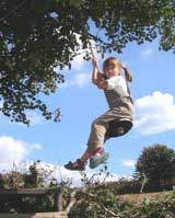Rope Swing